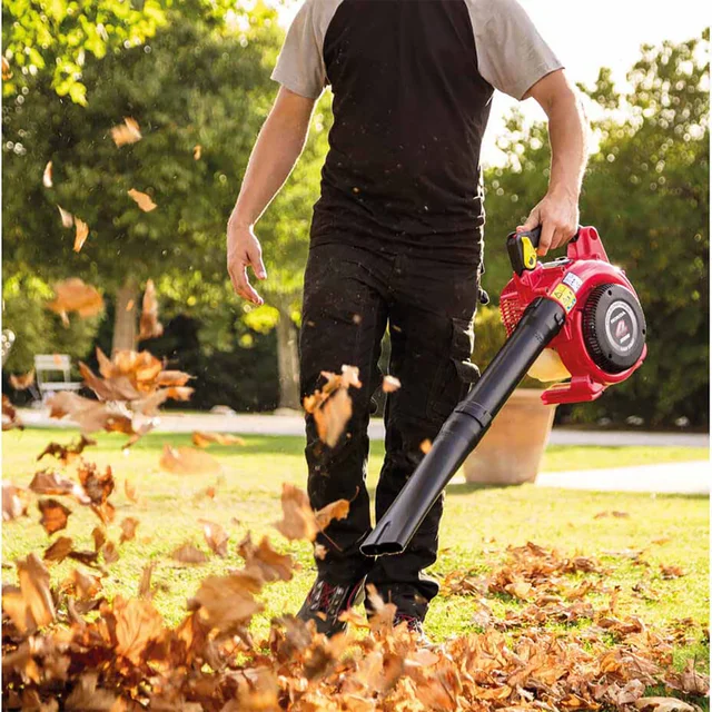 HHB 25 EWT Souffleur Thermique