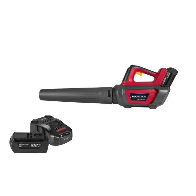 Pack Souffleur + batterie 2Ah + Chargeur
