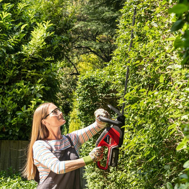 Pack Taille haies à batterie + Batterie 2Ah + Chargeur